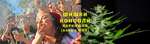 spice Алзамай