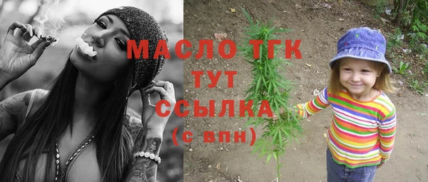 молекула духа Кулебаки