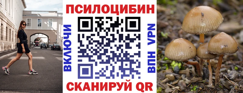 Галлюциногенные грибы мицелий Гагарин