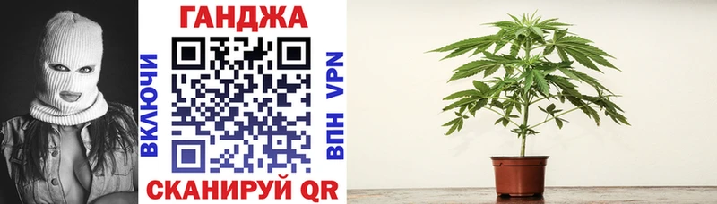 ОМГ ОМГ зеркало  где можно купить   Гагарин  Бошки марихуана White Widow 